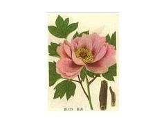 供应比例提取物图1