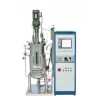 50L-500L全自动发酵罐