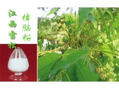 供应天然樟脑图1