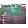 木钠生产厂家、木钠价格、木钠 -木钙价格