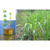 香茅油 杀虫剂 驱蚊药 皂用香料首选