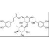 供应类叶升麻苷 毛蕊花糖苷  61276-17-3