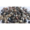 广西抛光鹅卵石