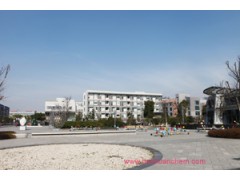 硅锭固定胶配方分析图1