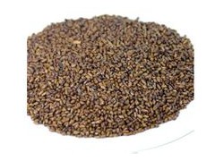 决明子提取物图1