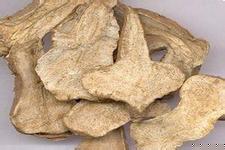 供应白术提取物