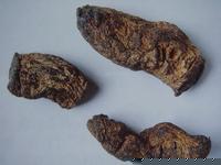 供应地黄提取物