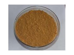 供应贝母提取物图1