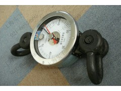 陕西拉力仪，宁夏拉力表图1