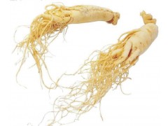 西洋参提取物图1