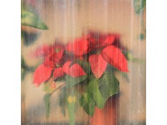 防腐蚀frp采光瓦透明瓦 透明玻璃钢隔热瓦 波浪采光板图3