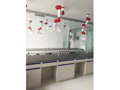 温岭市钢木实验台组合灵敏图2