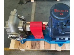 不锈钢齿轮泵,KCB不锈钢齿轮泵图2