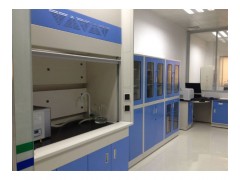 阳江市PP通风柜易安装图2