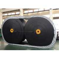 EP100 聚酯输送带