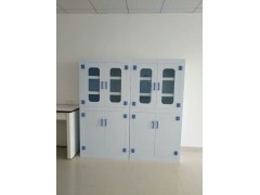 安徽省PP药品柜加强结构性图2