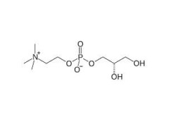 甘油磷脂酰胆碱图1