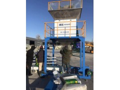 泰来县黑豆自动送袋电动包装秤型号图1