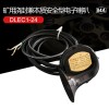 DLEC1-12矿用浇封兼本质安全型电子喇叭DC12V