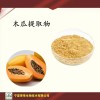 木瓜粉120目  木瓜浸膏粉 木瓜喷雾干燥粉