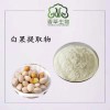 白果提取物  银杏果粉 白果浓缩粉