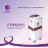 产后修复治疗仪工作原理
