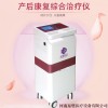 东璧医疗设备-产后康复治疗仪