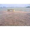 武城县 提供专业混凝土印花地面施工技术