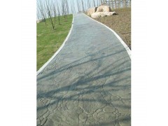 日照 湿地公园 园林压花地坪 仿石路面铺装-- 潍坊亚斯特新型建材有限公司