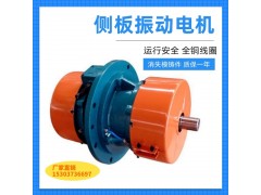 ZW-7 ZW-5 ZW-10附着式振动器侧板振动电机