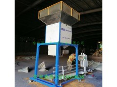 黑山县黄豆绿豆双计量斗不锈钢定袋机抗腐蚀免保养寿命长图2