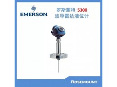 两线制罗斯蒙特5300系列导波雷达物位液位计物位计 (2)图2