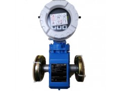 E+H电磁流量计 原装进口 恩德斯豪斯10L1H-图2