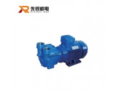 液环式真空泵 纳西姆 佶缔纳士NASH 2BV2+071图1