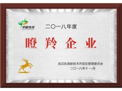 德州市企业申报瞪羚企业认证有什么好处图2