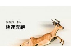 德州市企业申报瞪羚企业认证有什么好处图3