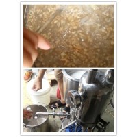 杏仁饮料超高速剪切均质分散乳化机