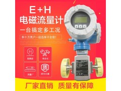 E+H电磁流量计5P3B 适用于化工场合 E+H流量计图2