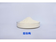 脂肪酶 lipase 庞博厂家直供图2