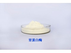 胃蛋白酶 胃酶 Pepsin 庞博厂家直供图2