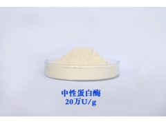 中性蛋白酶 蛋白酶 Neutral protease图2