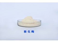 糖化酶 葡糖淀粉酶 Glucoamylase图2