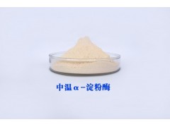 淀粉酶 Amylase 庞博厂家直供图2