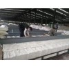 保温棉厂硅酸铝纤维模块1430含锆陶瓷纤维模块金石