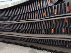 橡胶挡边输送带 耐高温挡边带 阻燃挡边输送带图3