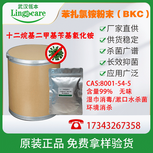 无味苯扎氯铵粉末 洁尔灭99% 湿巾杀菌 现货供应 物表消毒