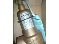 斯派莎克蒸汽安全阀|斯派莎克SV615AE青铜蒸汽安全阀图1