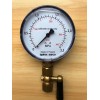 斯派莎克压力表 斯派莎克蒸汽压力表
