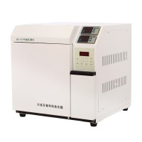 大连煤气分析仪