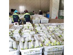 赛普710箩蔬菜百货西红柿水果筐塑料制品网格箩批发图3